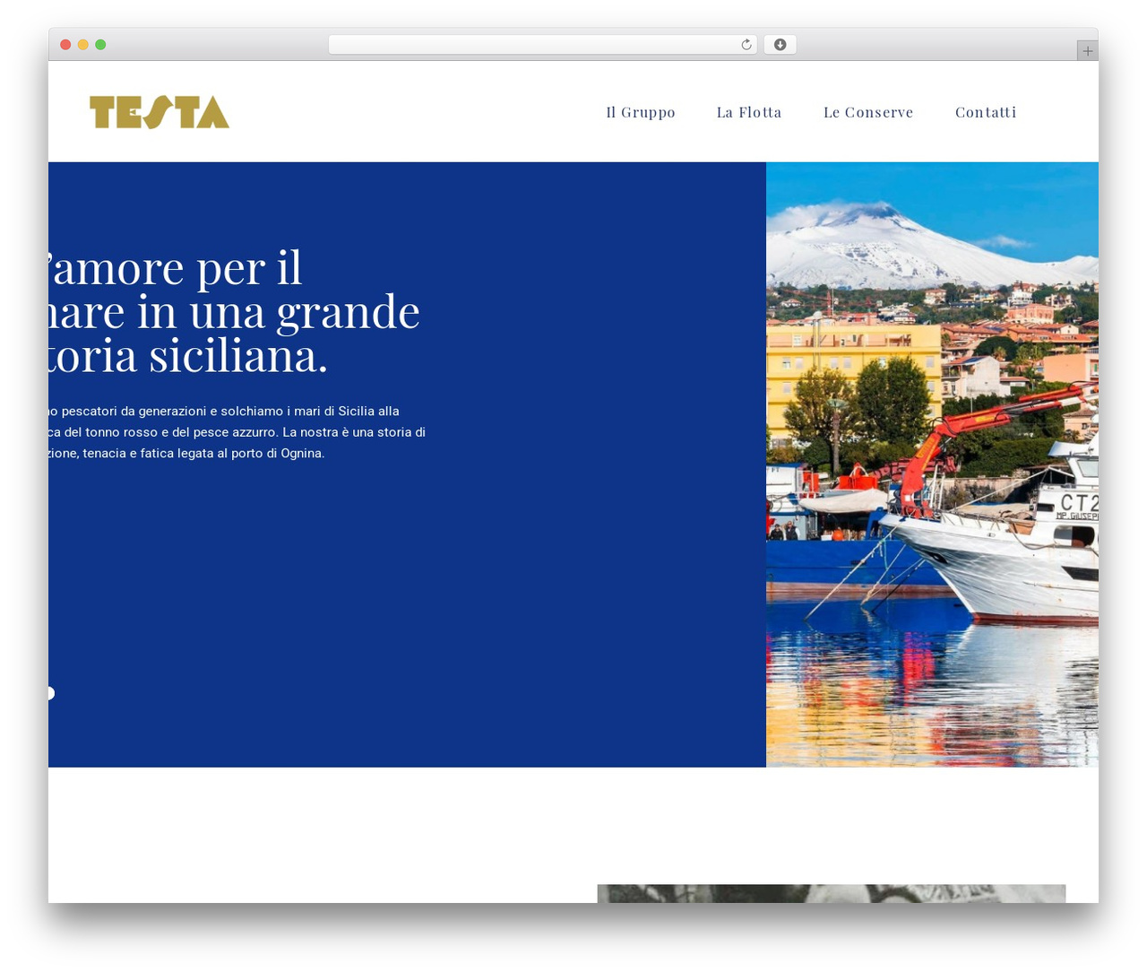 Theme WordPress Aperitif - famigliatesta.com
