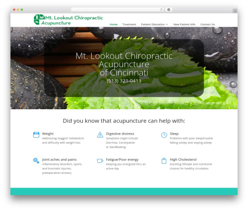 WordPress theme Divi - mtlookoutacupuncture.com