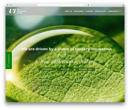 Feedback Modal for Website (feedback-modal-for-website) free WordPress plugin - ultrainternational.com