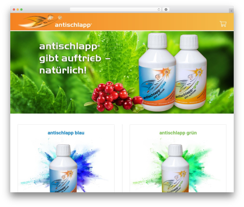 wp-basic theme WordPress - antischlapp.ch