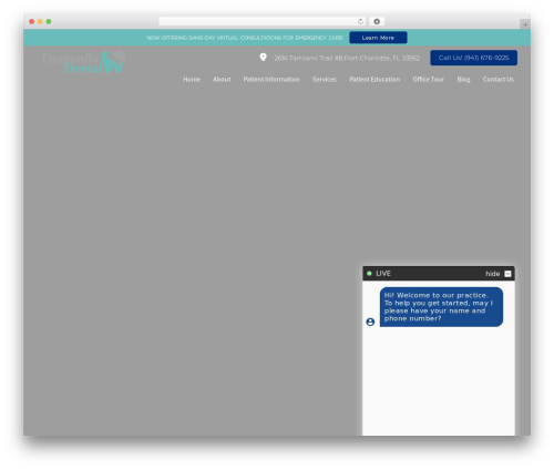 WP theme DoctorGenius Framework - dragonflydentalportcharlotte.com