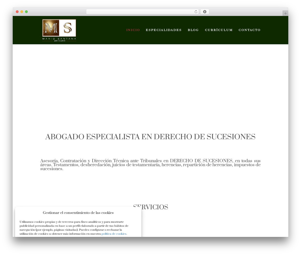 WP theme Divi - mariosantana.es