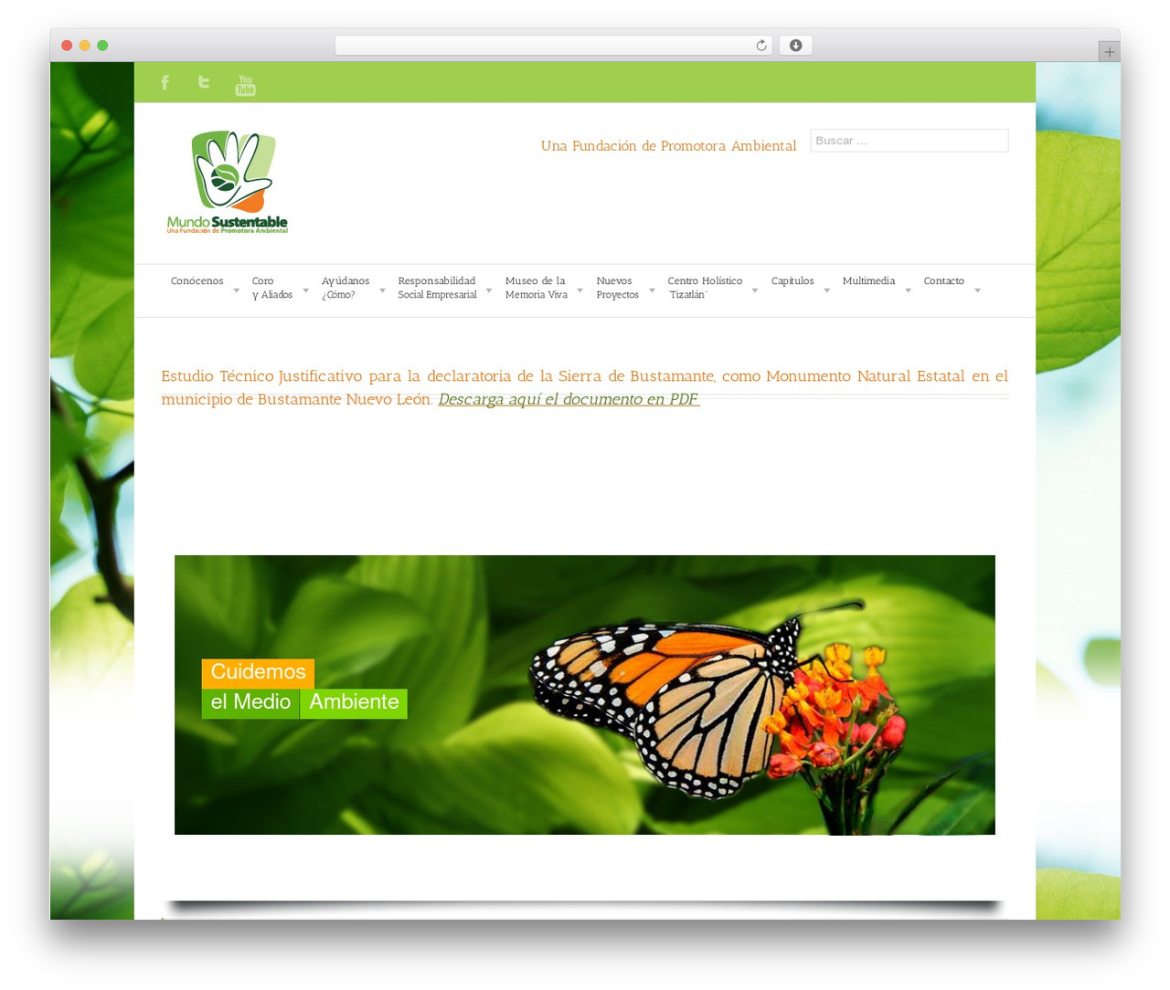 Avada theme WordPress - mundosustentable.org/bienvenidos Avada theme WordPress - mundosustentable.org/bienvenidos