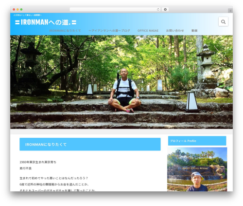 giraffe WordPress theme - equal.red