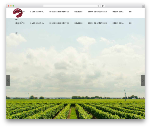 Thelma core WordPress plugin - francdumonde.com