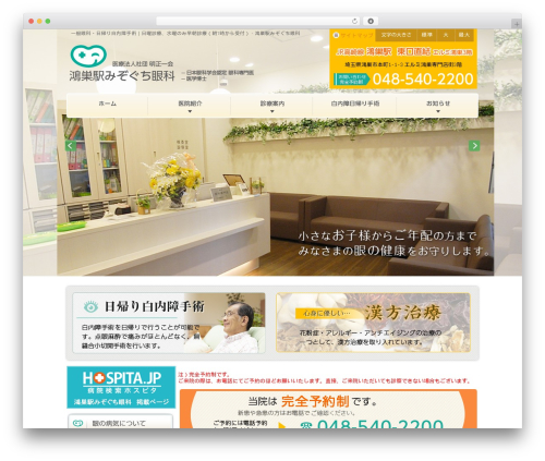 Theme WordPress ホスピタテンプレート ヘッダメニュー版 - mizoguchi-eye.com