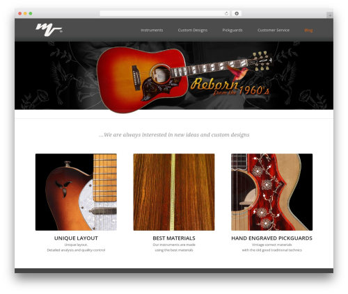 Theme WordPress Enfold - mv-customguitars.com