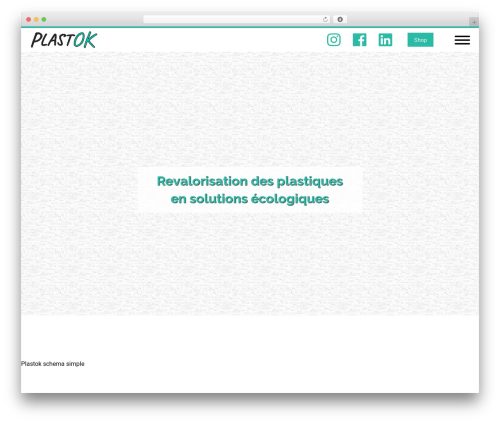 Ultimate Starter Theme WordPress theme - plastok.ch