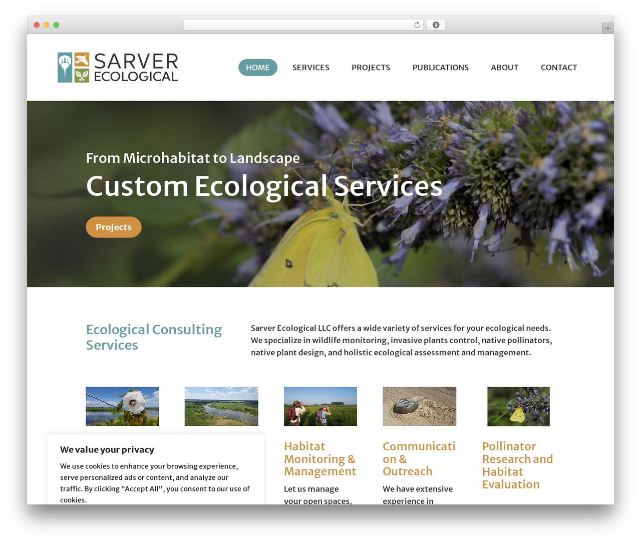 Divi WordPress theme - sarverecological.com