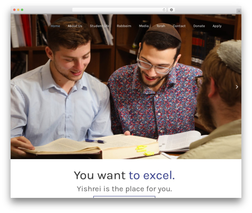 Hello Elementor WordPress theme - yishrei.org
