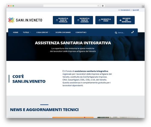 Instive essential WordPress plugin - saninveneto.it