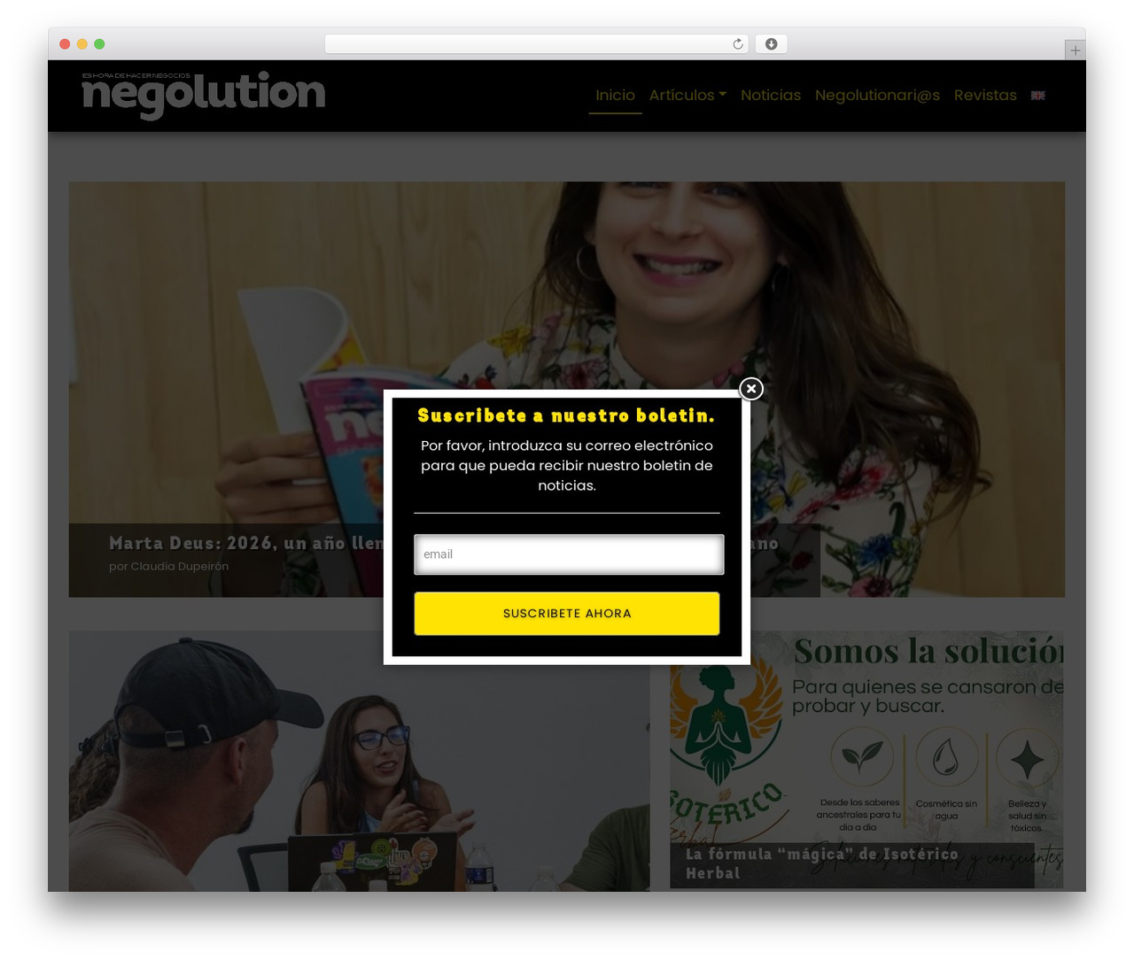 Negolution WordPress theme - negolution.com