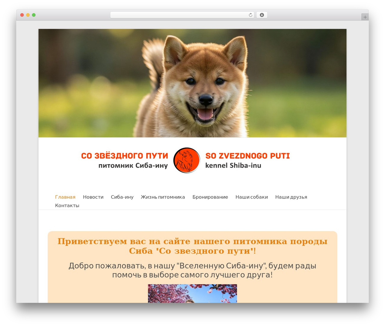 Spacious free WordPress theme - sozvezdnogoputi.com