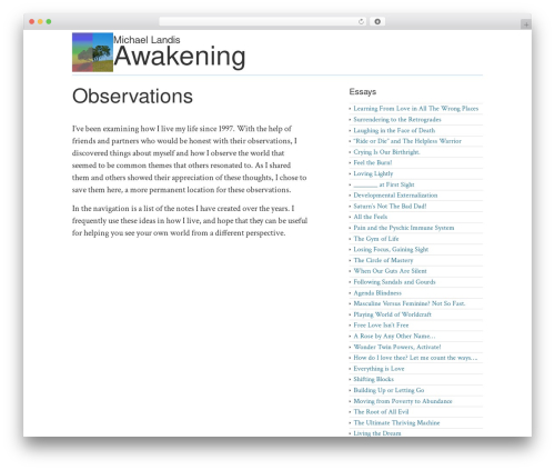 Theme WordPress MLA - michael-landis-awakening.com