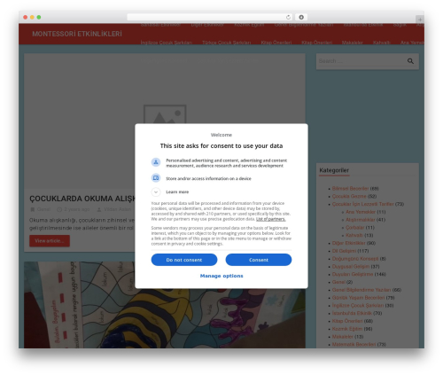 Theme WordPress Realistic - montessorietkinlikler.com