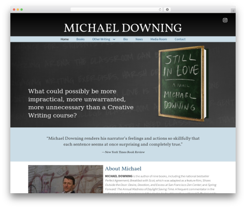 Novelist (novelist) free WordPress plugin - michaeldowningbooks.com