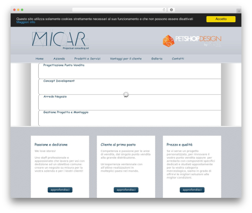 WordPress theme HTML5 template - micarpc.com