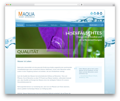 WP theme Catalyst - maqua.at