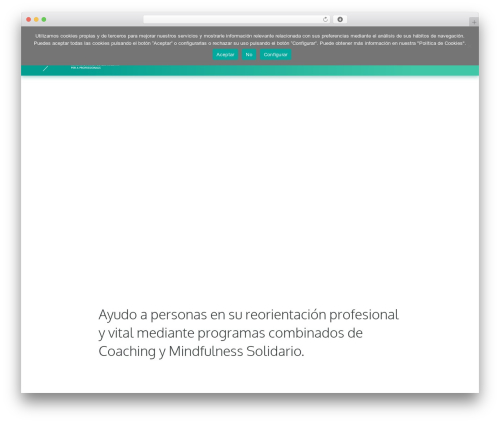 Bridge WordPress theme - mireiapoch.com