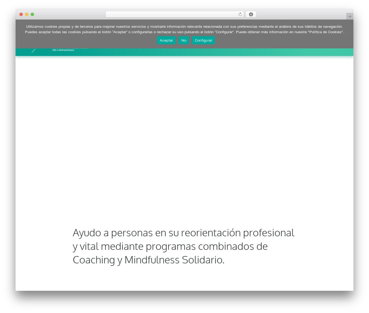 Bridge WordPress theme - mireiapoch.com
