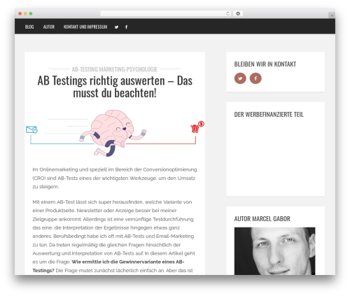 Brixton - Wordpress Theme WordPress blog theme - marcelgabor.de