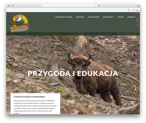 GreenNature WordPress theme - lesnypark.pl
