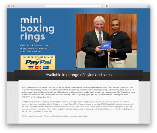 Netix - Premium WordPress Landing Page WordPress theme - miniboxingrings.co.uk
