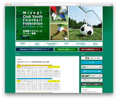 sc WordPress theme - miyagi-cy.com