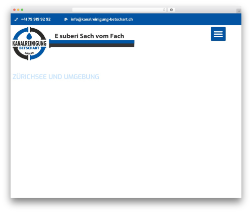 Tenweb builder WordPress plugin - kanalreinigung-betschart.ch