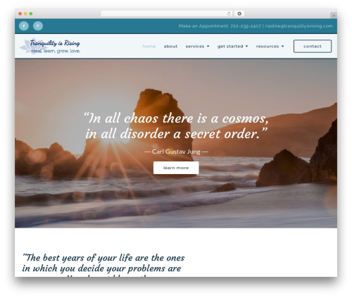 Theme WordPress Megatheme - tranquilityisrising.com