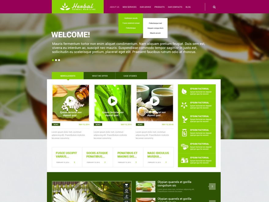 theme54728 WordPress theme