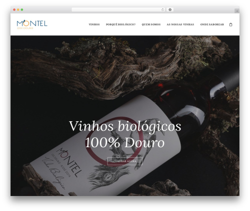 Quantity Field on Shop Page for WooCommerce (quantity-field-on-shop-page-for-woocommerce) free WordPress plugin - montelwine.pt