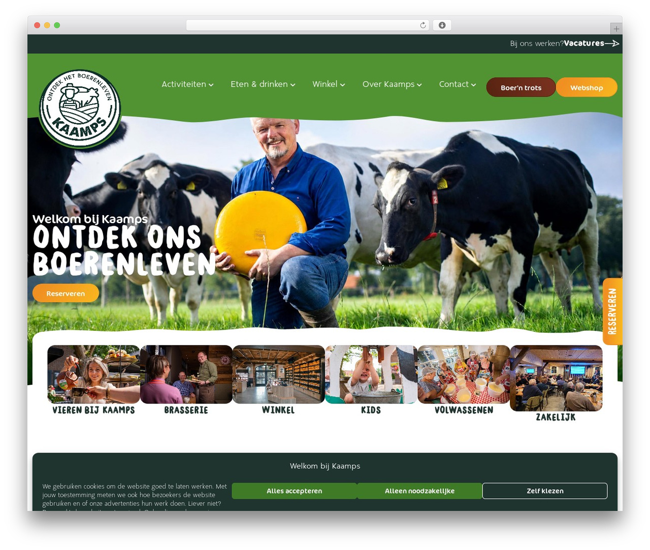 WordPress theme Hello Elementor - kaamps.nl WordPress theme Hello Elementor - kaamps.nl