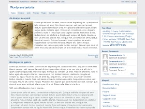 Blocks2 WordPress theme image by mg12