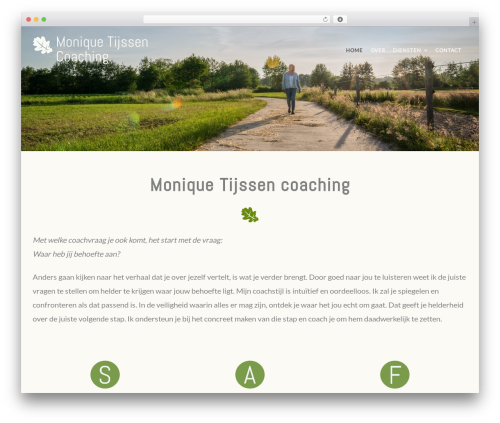 Create WordPress theme - moniquetijssencoaching.nl