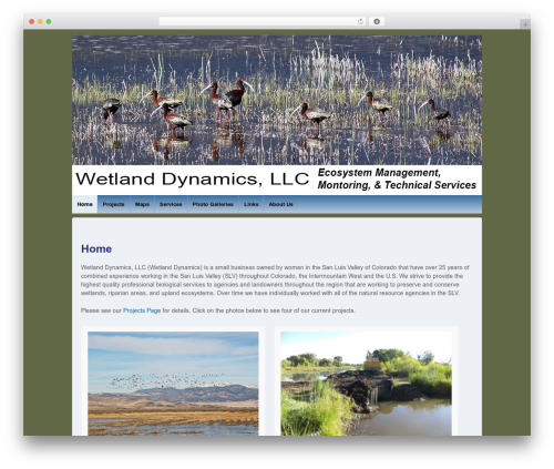 Responsive Pro theme WordPress - wetlanddynamics.com
