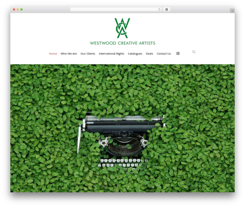 Salient theme WordPress - wcaltd.com