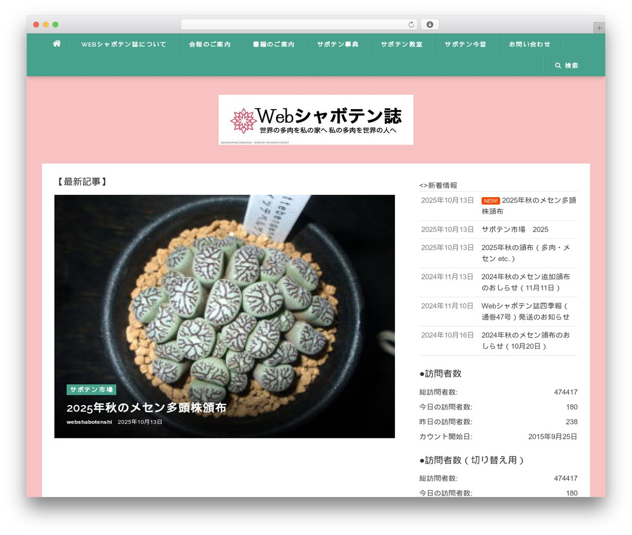 Theme WordPress Codilight Lite - web-succulent.com