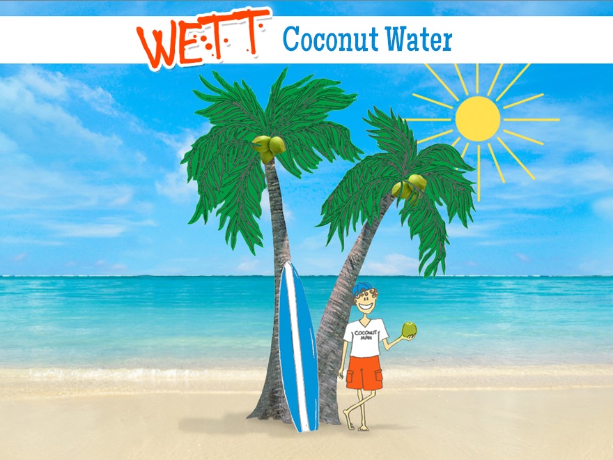 Theme WordPress Coconuts by Hugo Legrand