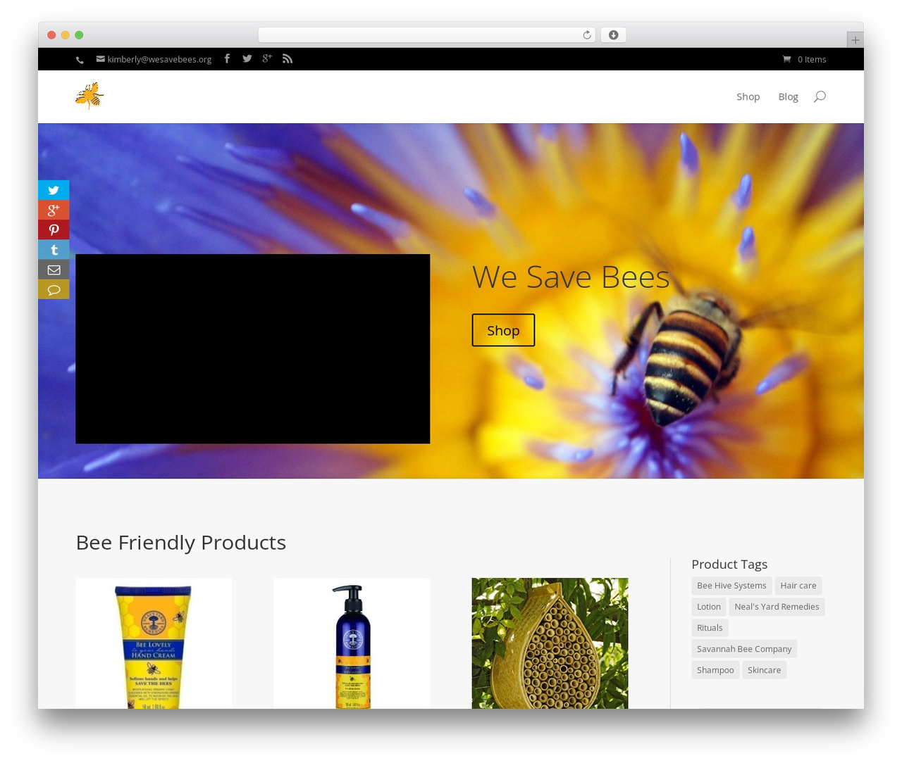 Theme WordPress Divi - wesavebees.org