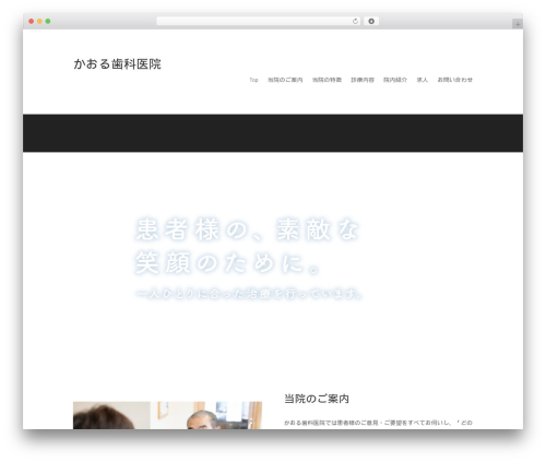 Theme WordPress Divi - kaorushika.com