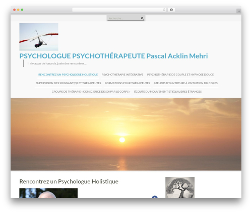WEN Business Pro business WordPress theme - web-psychologue-psychotherapeute.paris