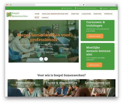 Stm post type WordPress plugin - soepelsamenwerken.nl