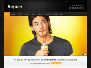 WordPress theme Raiden by Rascals Labs