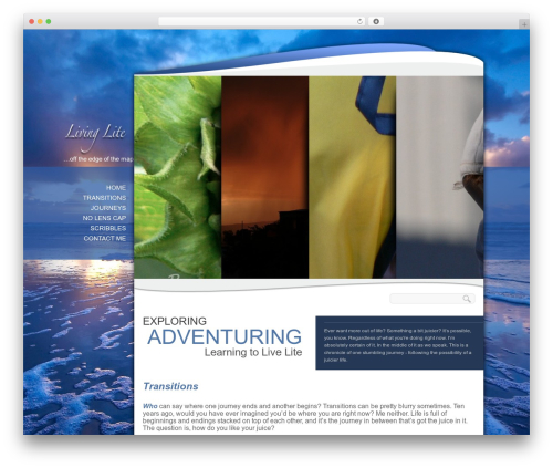 BioSphere WordPress theme - mbear.ca