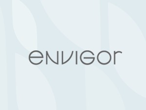 Theme WordPress Envigor