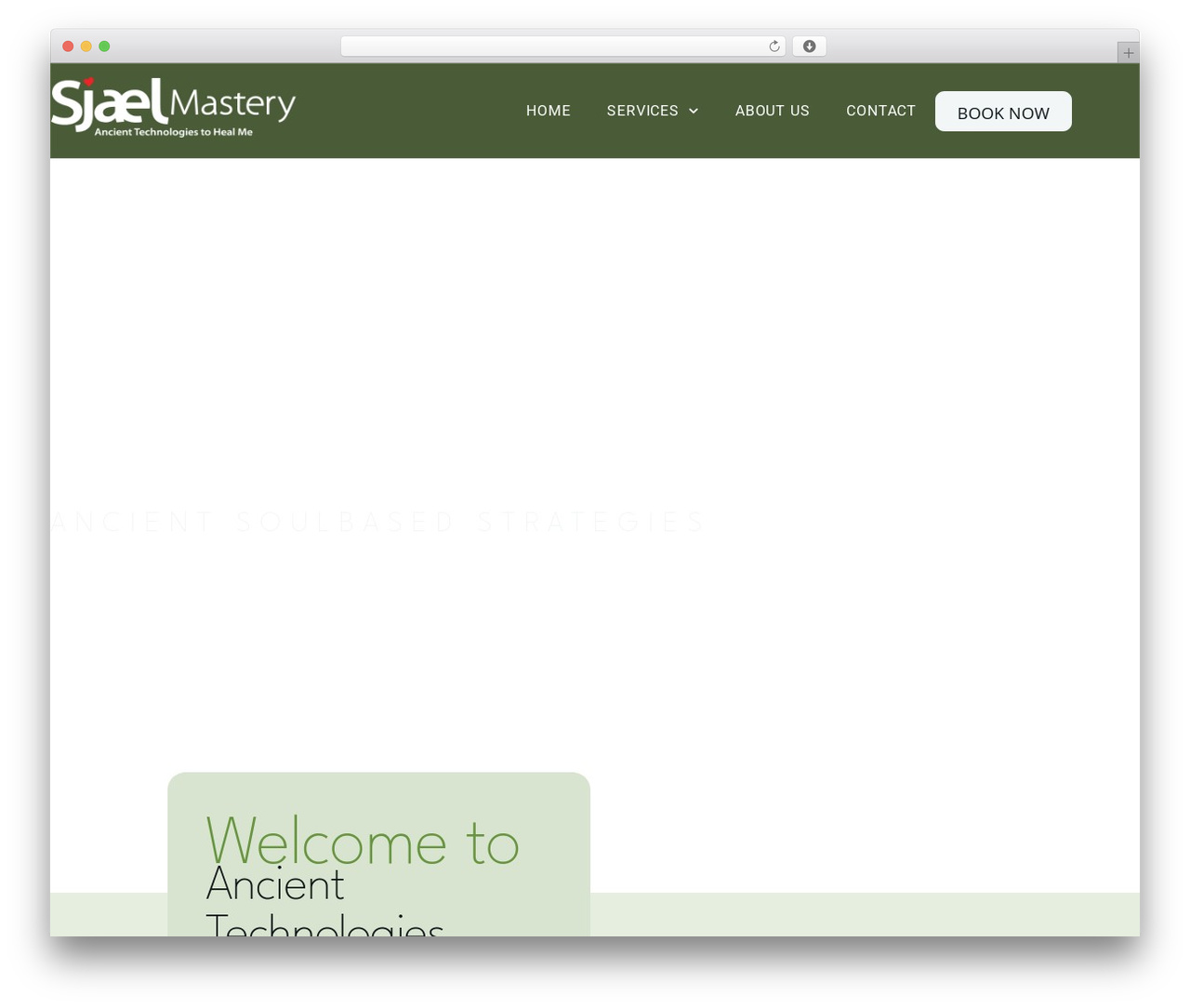 Theme WordPress Hello Elementor - sjaelmastery.com Theme WordPress Hello Elementor - sjaelmastery.com