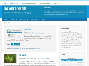 ThinkPress theme WordPress