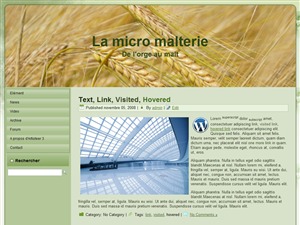 WordPress theme siteweb