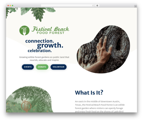 WordPress theme Divi - festivalbeach.org